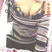 ヒメ日記 2025/01/23 22:15 投稿 サエ 僕の◯◯なお姉さん、お貸しします