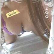 ヒメ日記 2025/02/15 16:35 投稿 サエ 僕の◯◯なお姉さん、お貸しします