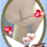 ヒメ日記 2025/03/19 15:55 投稿 サエ 僕の◯◯なお姉さん、お貸しします