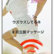 ヒメ日記 2024/12/13 19:07 投稿 えりか 僕の◯◯なお姉さん、お貸しします