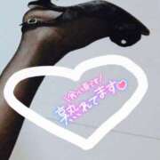 ヒメ日記 2025/06/12 19:15 投稿 えりか 僕の◯◯なお姉さん、お貸しします