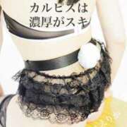 ヒメ日記 2025/06/20 19:15 投稿 えりか 僕の◯◯なお姉さん、お貸しします