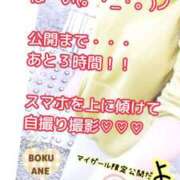 ヒメ日記 2024/11/15 08:35 投稿 じゅん 僕の◯◯なお姉さん、お貸しします