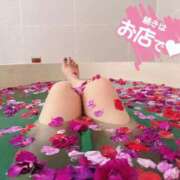 ヒメ日記 2025/02/10 14:34 投稿 かりな ナイスレディ