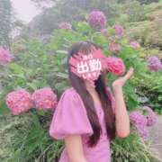 ヒメ日記 2025/03/24 13:19 投稿 かりな ナイスレディ