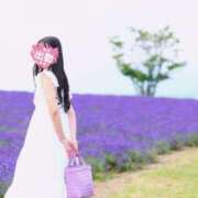 ヒメ日記 2025/04/17 14:20 投稿 かりな ナイスレディ