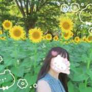 ヒメ日記 2025/08/04 09:22 投稿 かりな ナイスレディ