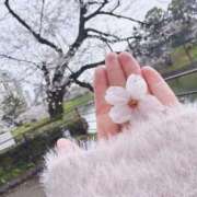 かりな 追加❤︎ ナイスレディ