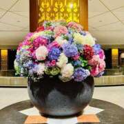 ヒメ日記 2025/06/01 20:42 投稿 辻 麗香 大阪貴楼館