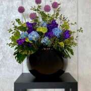 ヒメ日記 2025/06/17 23:12 投稿 辻 麗香 大阪貴楼館