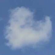 ヒメ日記 2025/10/13 19:13 投稿 天(てん) 那珂川角海老