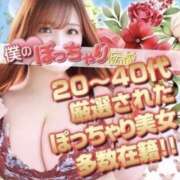 ヒメ日記 2025/03/17 09:55 投稿 ひなか 僕のぽっちゃり伝説