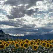 ヒメ日記 2025/09/27 17:16 投稿 サナ エピソード(品川)