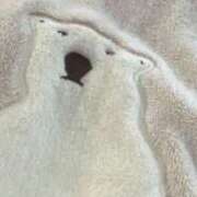 ヒメ日記 2025/12/31 23:26 投稿 乙羽　さわ ドMな奥様 すすきの店