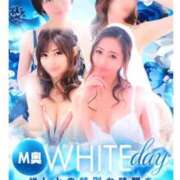 ヒメ日記 2026/03/14 21:21 投稿 乙羽　さわ ドMな奥様 すすきの店