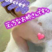 ヒメ日記 2025/04/05 21:53 投稿 音梨【おとなし】 丸妻 西船橋店