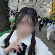 ヒメ日記 2025/04/14 13:31 投稿 ミク マテリアル