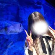 ヒメ日記 2025/05/27 09:16 投稿 ミク マテリアル