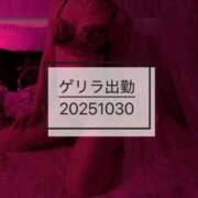 ヒメ日記 2025/10/29 19:45 投稿 りつ 中洲秘密倶楽部