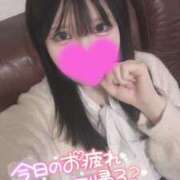 ヒメ日記 2025/01/09 12:37 投稿 らん OKINI八王子