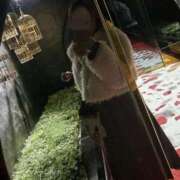 ヒメ日記 2025/02/05 19:35 投稿 紫吹ちひろ お姉さんCLUB