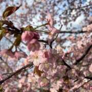 ヒメ日記 2025/04/28 06:42 投稿 紫吹ちひろ お姉さんCLUB