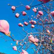 ヒメ日記 2025/05/23 21:14 投稿 紫吹ちひろ お姉さんCLUB