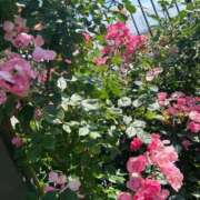 ヒメ日記 2025/07/17 20:09 投稿 紫吹ちひろ お姉さんCLUB