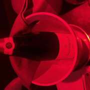 ヒメ日記 2025/03/02 20:07 投稿 れい 神田はっち