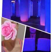 ヒメ日記 2025/01/05 10:22 投稿 高島みさ 月の真珠-五反田-