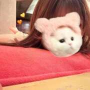 ヒメ日記 2025/04/29 12:49 投稿 YOMOGI『ヨモギ』 GG