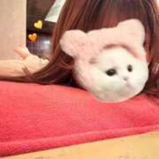 ヒメ日記 2025/05/14 06:59 投稿 YOMOGI『ヨモギ』 GG