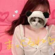 ヒメ日記 2025/05/25 21:41 投稿 YOMOGI『ヨモギ』 GG