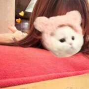 ヒメ日記 2025/09/08 09:39 投稿 YOMOGI『ヨモギ』 GG