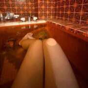 ヒメ日記 2026/02/27 16:39 投稿 YOMOGI『ヨモギ』 GG