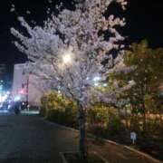 ヒメ日記 2025/04/16 23:35 投稿 いつき 熟女家 東大阪店（布施・長田）