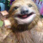 ヒメ日記 2025/05/06 23:25 投稿 いつき 熟女家 東大阪店（布施・長田）