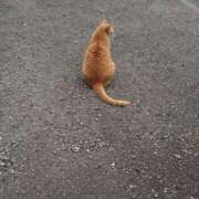 ヒメ日記 2025/05/22 23:35 投稿 いつき 熟女家 東大阪店（布施・長田）