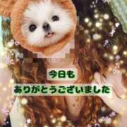 ヒメ日記 2025/06/29 23:35 投稿 いつき 熟女家 東大阪店（布施・長田）