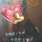 ヒメ日記 2026/04/12 13:05 投稿 いつき 熟女家 東大阪店（布施・長田）