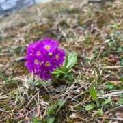 ヒメ日記 2025/04/27 17:43 投稿 りのは スーパークリスタル