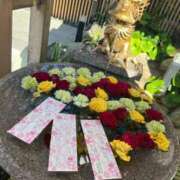 ヒメ日記 2025/07/06 20:23 投稿 りのは スーパークリスタル