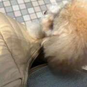 ヒメ日記 2026/01/25 21:13 投稿 りのは スーパークリスタル