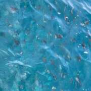 ヒメ日記 2026/05/25 17:03 投稿 りのは スーパークリスタル