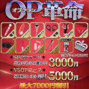 ヒメ日記 2024/12/30 23:22 投稿 ろむ ウルトラグレイス24