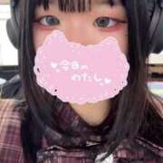 ヒメ日記 2025/03/14 13:57 投稿 ろむ ウルトラグレイス24