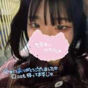 ヒメ日記 2025/03/14 23:16 投稿 ろむ ウルトラグレイス24