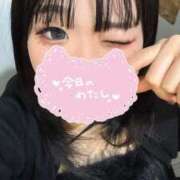 ヒメ日記 2025/03/20 13:30 投稿 ろむ ウルトラグレイス24