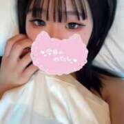 ヒメ日記 2025/03/21 16:05 投稿 ろむ ウルトラグレイス24