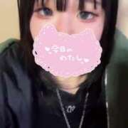 ヒメ日記 2025/03/25 19:22 投稿 ろむ ウルトラグレイス24